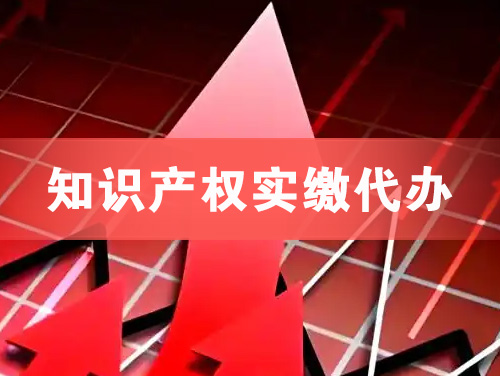 新乐知识产权实缴资本代办